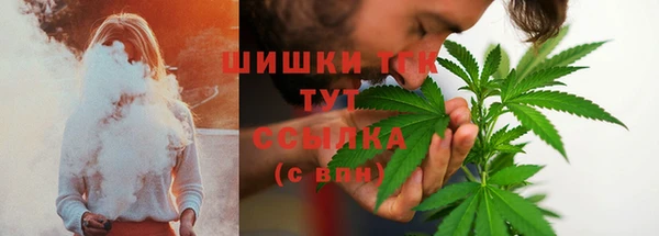 ECSTASY Белокуриха