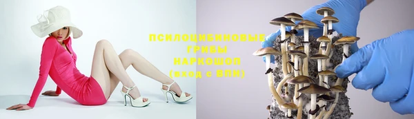 твердый Богородск