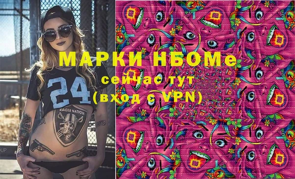 твердый Богородск