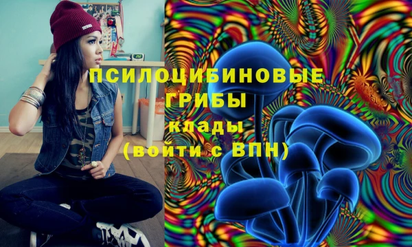 MDMA Богородицк