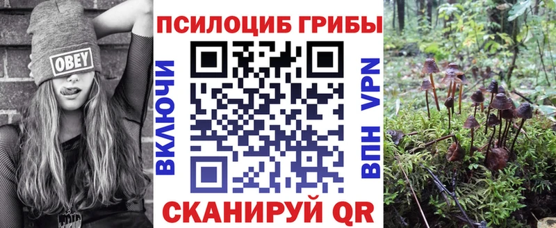 Псилоцибиновые грибы Psilocybine cubensis  купить наркотик  MEGA рабочий сайт  Кизилюрт 